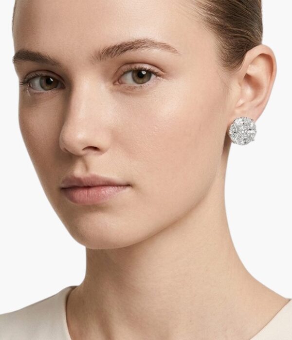 Ear Studs Earring